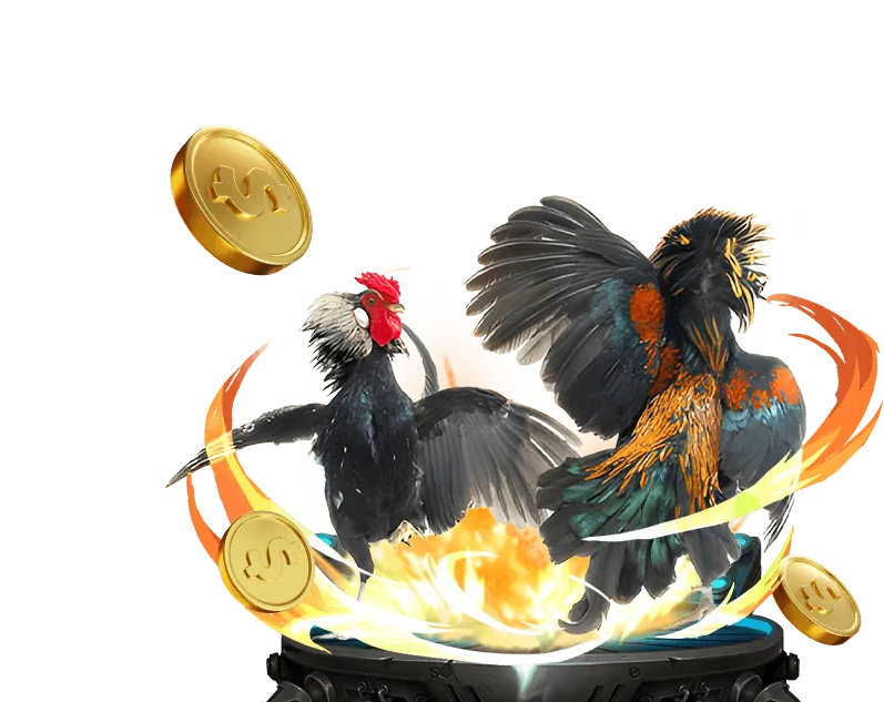 Kèo BDD với tỷ lệ cược hấp dẫn